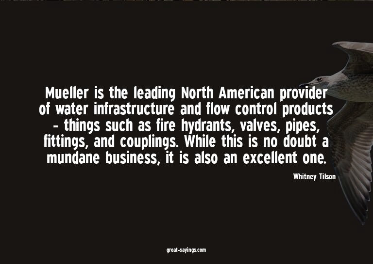 Mueller is the leading North American provider of water