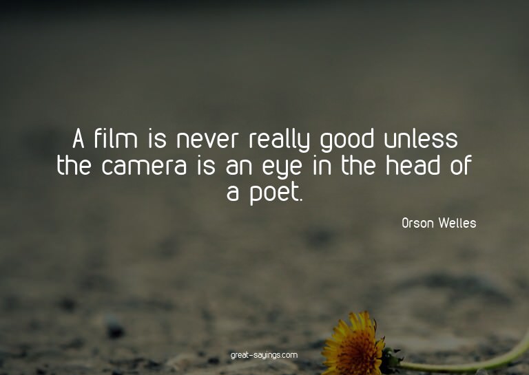 A film is never really good unless the camera is an eye