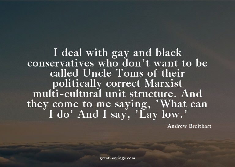 I deal with gay and black conservatives who don't want