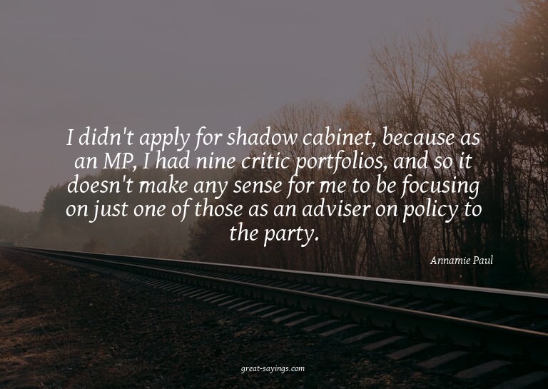 I didn't apply for shadow cabinet, because as an MP, I