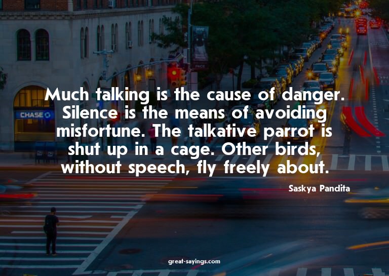 Much talking is the cause of danger. Silence is the mea