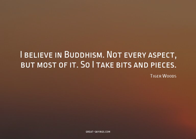 I believe in Buddhism. Not every aspect, but most of it