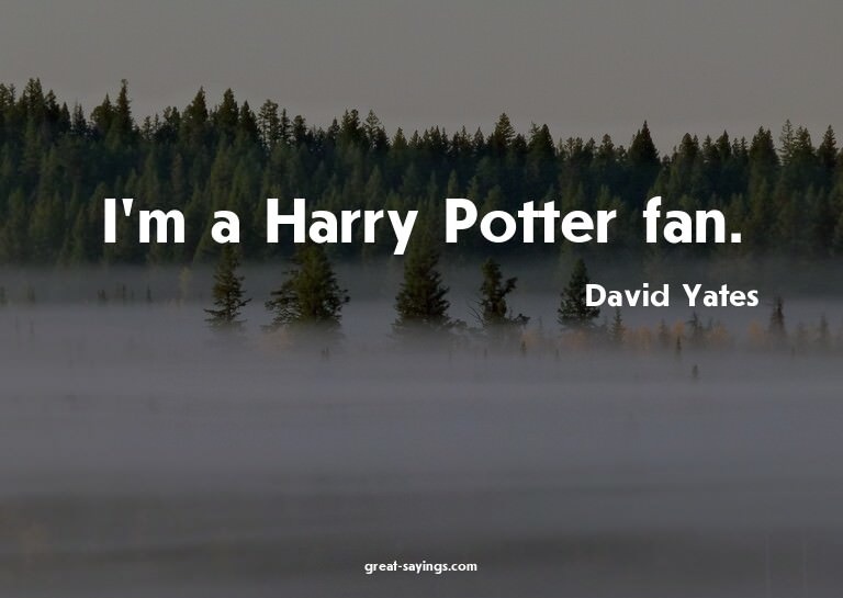 I'm a Harry Potter fan.

