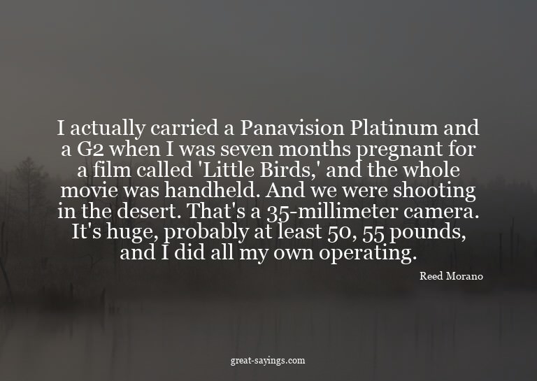 I actually carried a Panavision Platinum and a G2 when