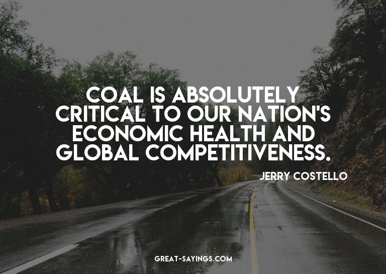 Coal is absolutely critical to our nation's economic he