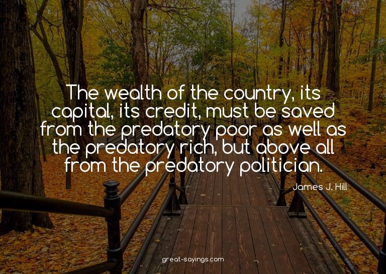 The wealth of the country, its capital, its credit, mus