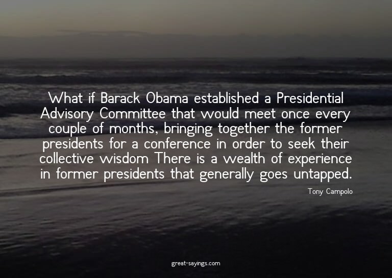 What if Barack Obama established a Presidential Advisor