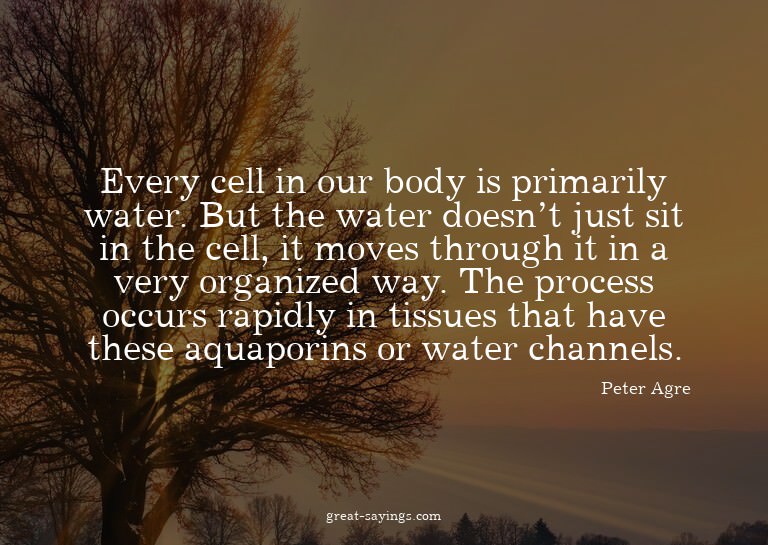 Every cell in our body is primarily water. But the wate