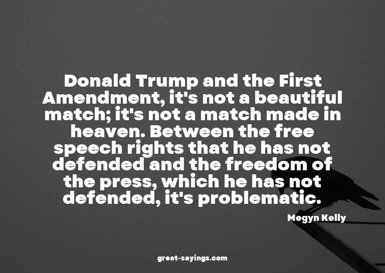 Donald Trump and the First Amendment, it's not a beauti