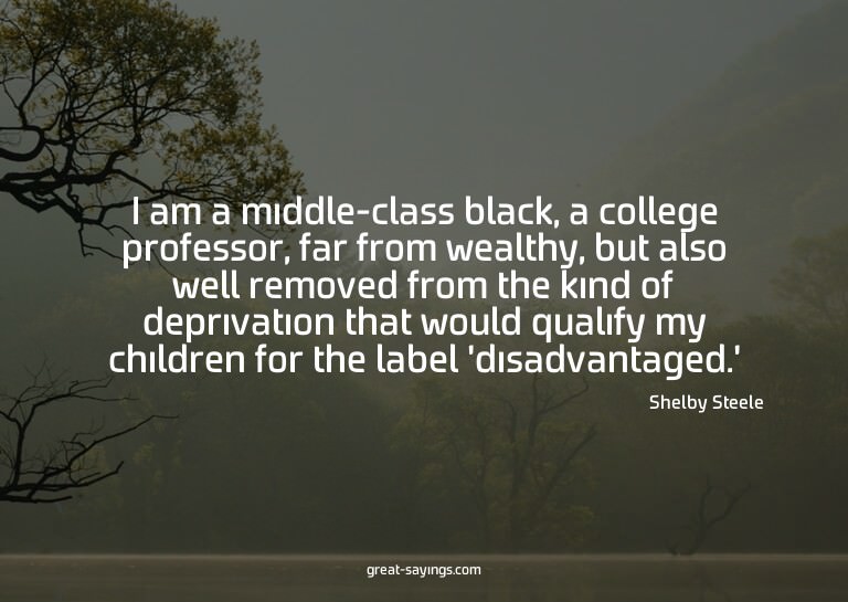 I am a middle-class black, a college professor, far fro