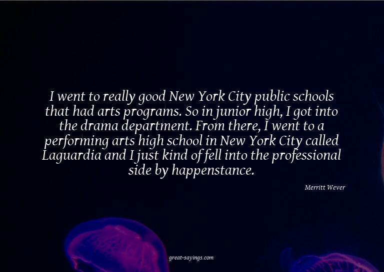 I went to really good New York City public schools that