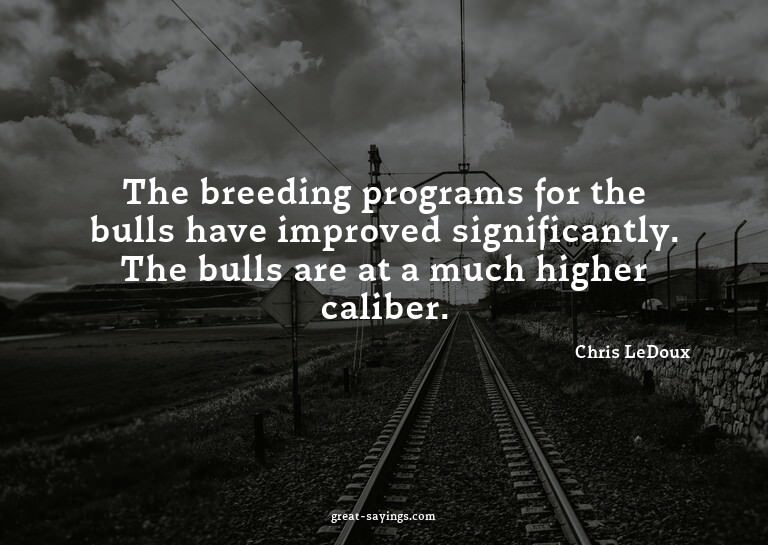 The breeding programs for the bulls have improved signi