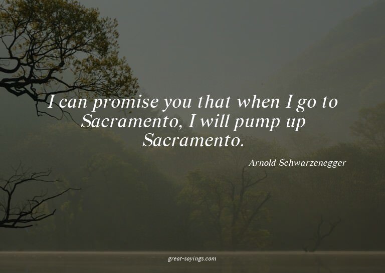 I can promise you that when I go to Sacramento, I will