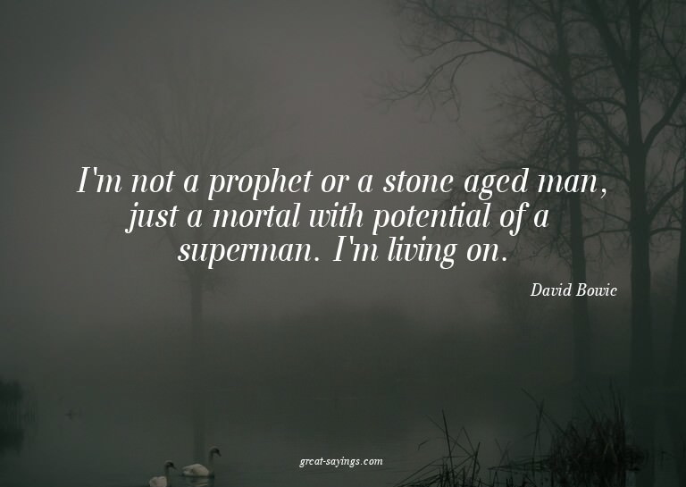 I'm not a prophet or a stone aged man, just a mortal wi