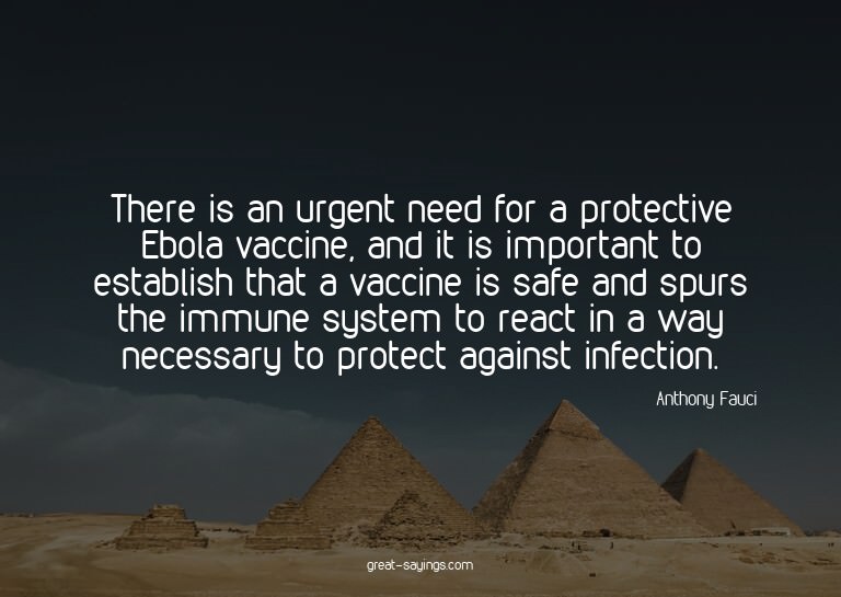 There is an urgent need for a protective Ebola vaccine,