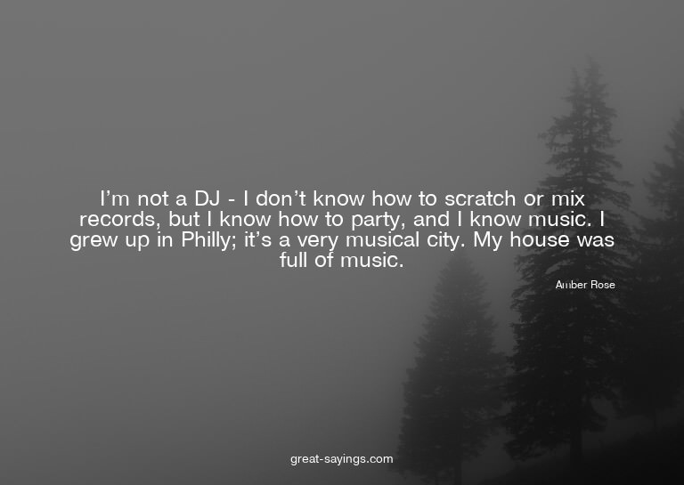 I'm not a DJ - I don't know how to scratch or mix recor