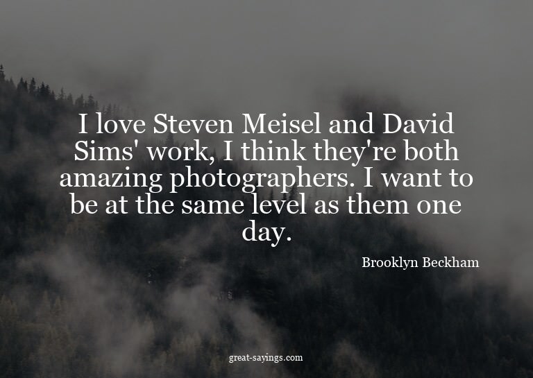 I love Steven Meisel and David Sims' work, I think they