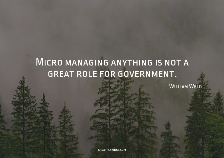 Micro managing anything is not a great role for governm
