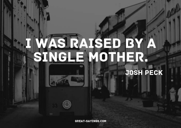 I was raised by a single mother.

