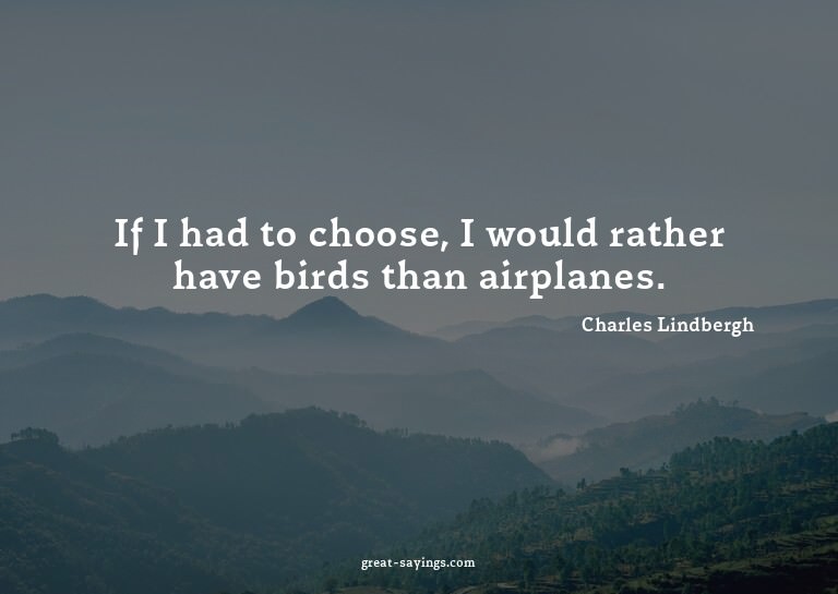 If I had to choose, I would rather have birds than airp
