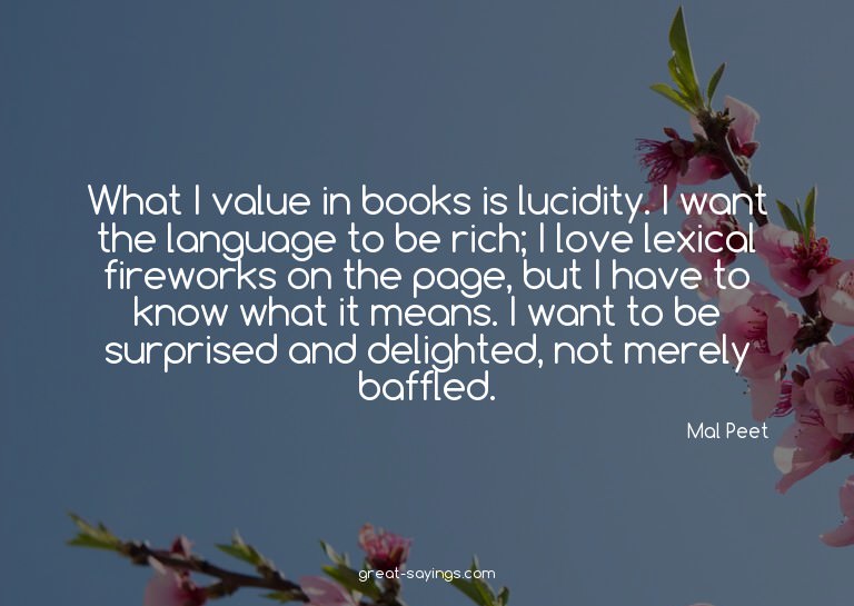 What I value in books is lucidity. I want the language