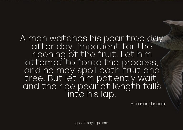 A man watches his pear tree day after day, impatient fo