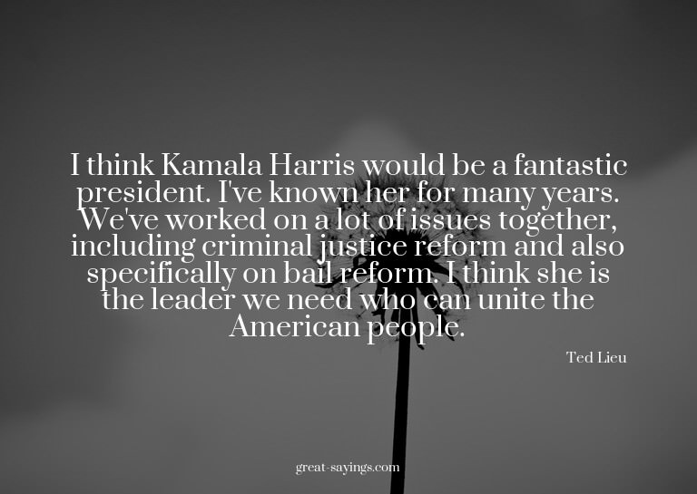 I think Kamala Harris would be a fantastic president. I