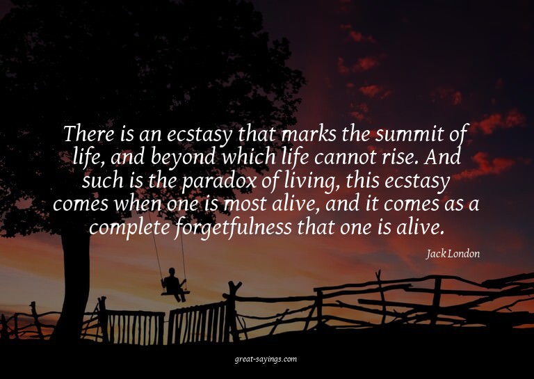 There is an ecstasy that marks the summit of life, and