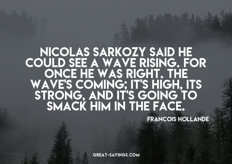 Nicolas Sarkozy said he could see a wave rising. For on
