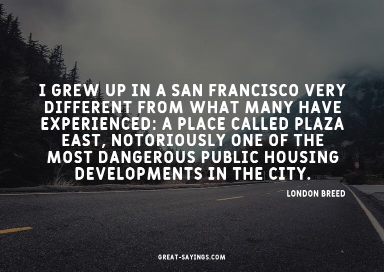 I grew up in a San Francisco very different from what m