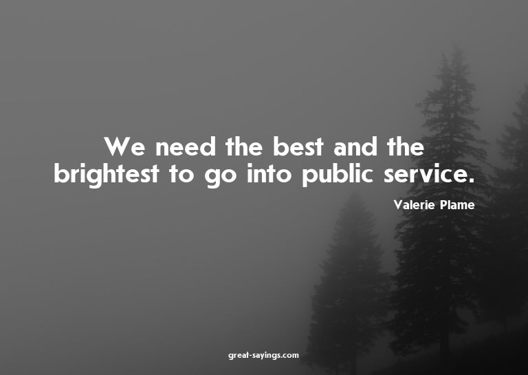 We need the best and the brightest to go into public se