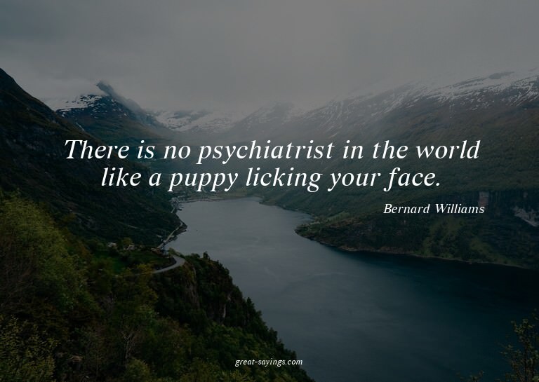 There is no psychiatrist in the world like a puppy lick
