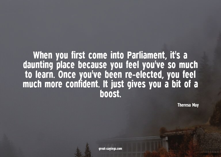 When you first come into Parliament, it's a daunting pl
