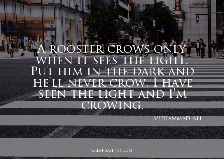 A rooster crows only when it sees the light. Put him in
