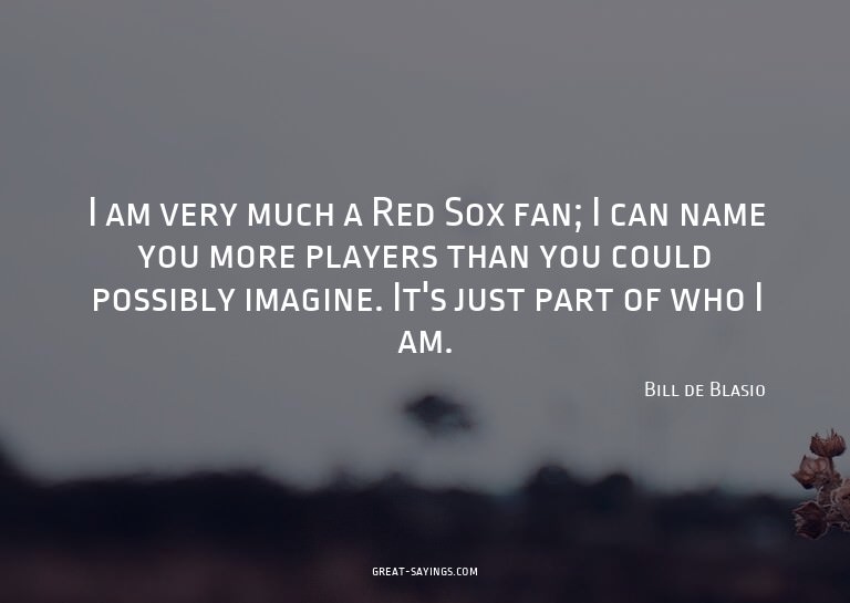 I am very much a Red Sox fan; I can name you more playe