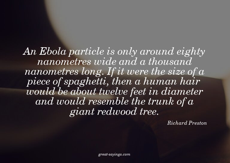 An Ebola particle is only around eighty nanometres wide