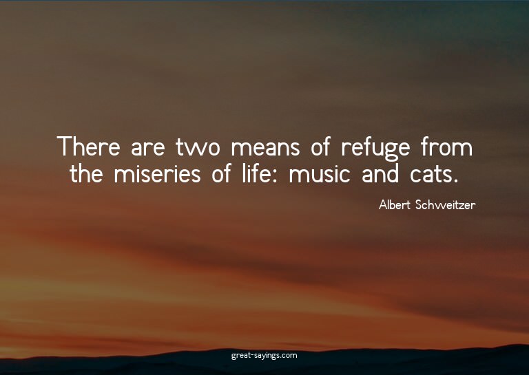 There are two means of refuge from the miseries of life