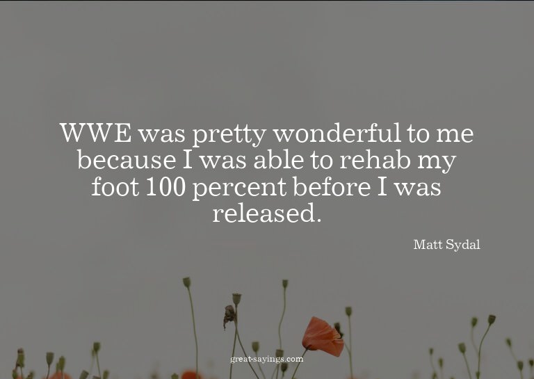 WWE was pretty wonderful to me because I was able to re