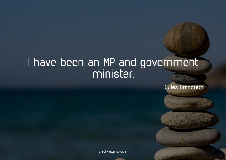 I have been an MP and government minister.

