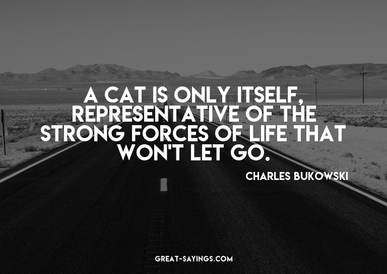 A cat is only itself, representative of the strong forc