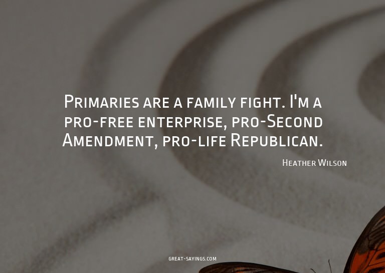 Primaries are a family fight. I'm a pro-free enterprise