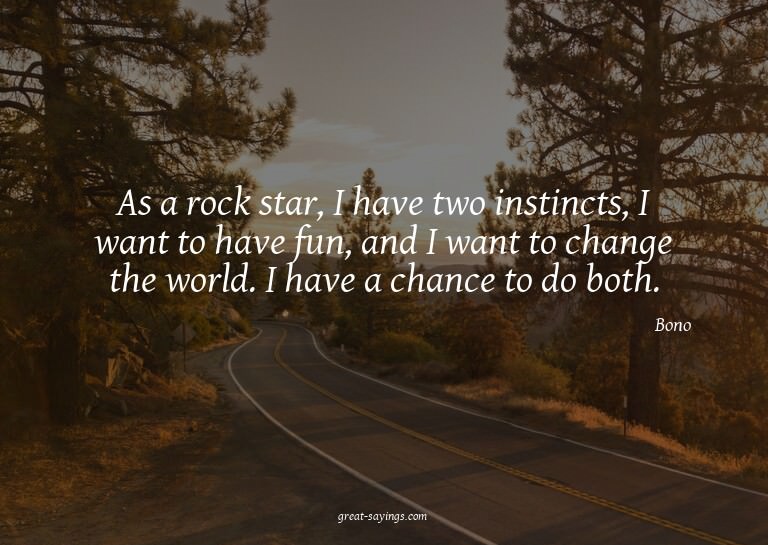 As a rock star, I have two instincts, I want to have fu