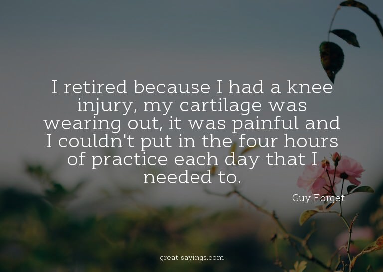 I retired because I had a knee injury, my cartilage was