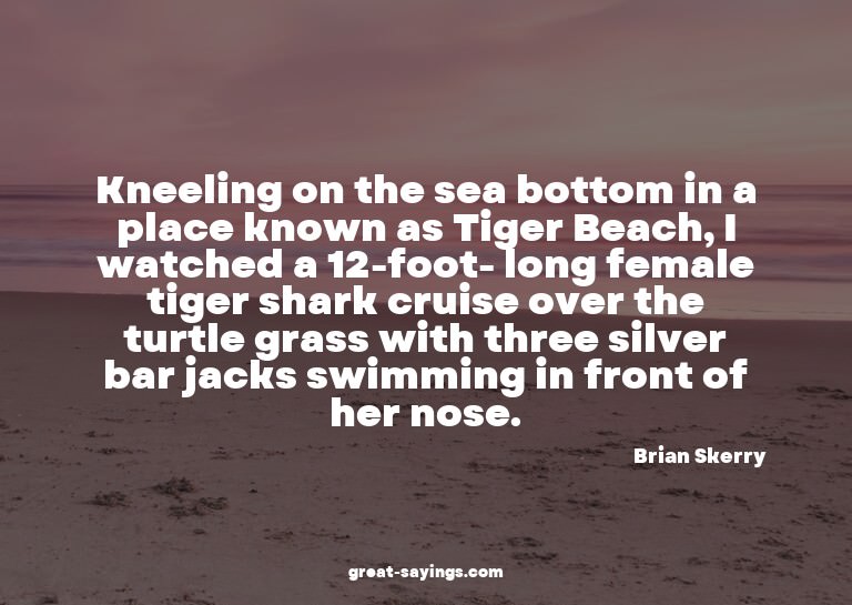 Kneeling on the sea bottom in a place known as Tiger Be