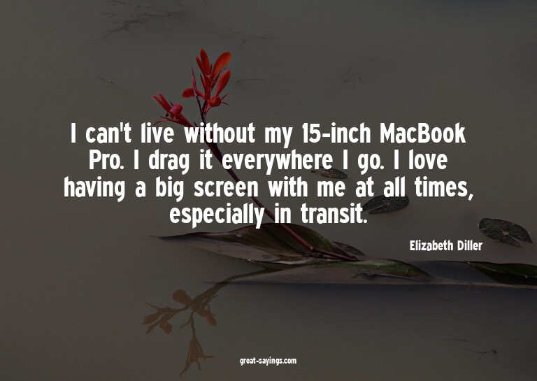 I can't live without my 15-inch MacBook Pro. I drag it