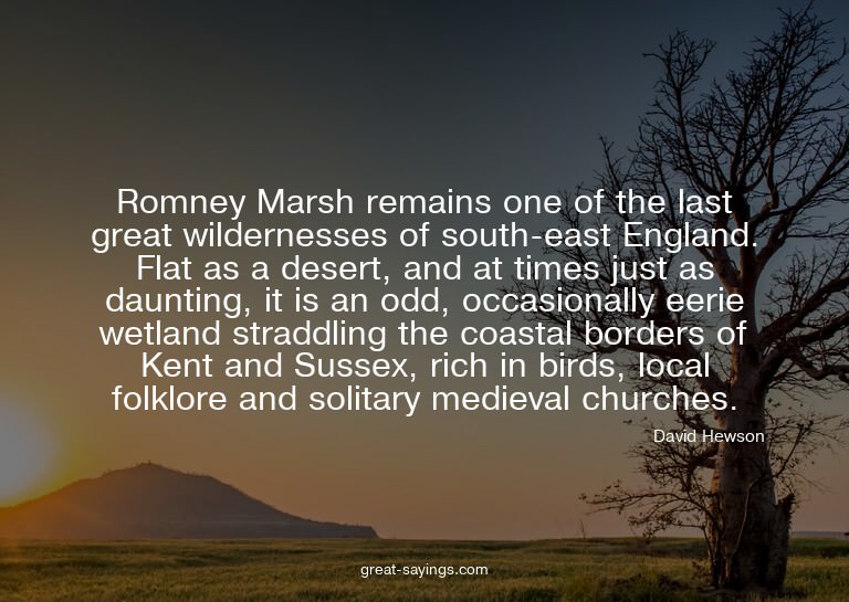 Romney Marsh remains one of the last great wildernesses