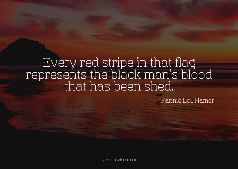 Every red stripe in that flag represents the black man'