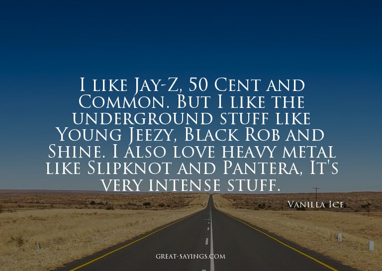 I like Jay-Z, 50 Cent and Common. But I like the underg
