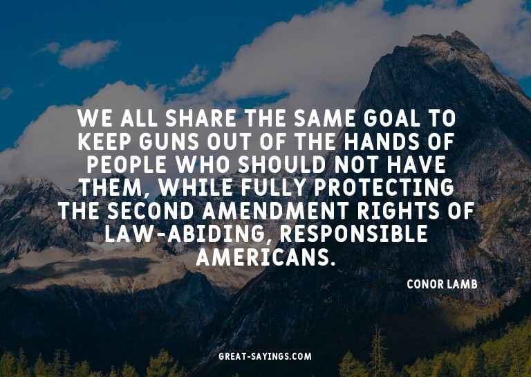 We all share the same goal to keep guns out of the hand