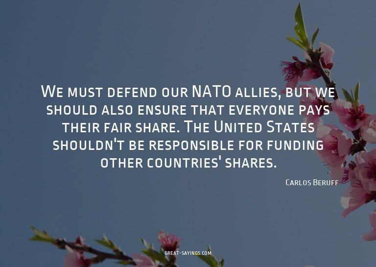 We must defend our NATO allies, but we should also ensu